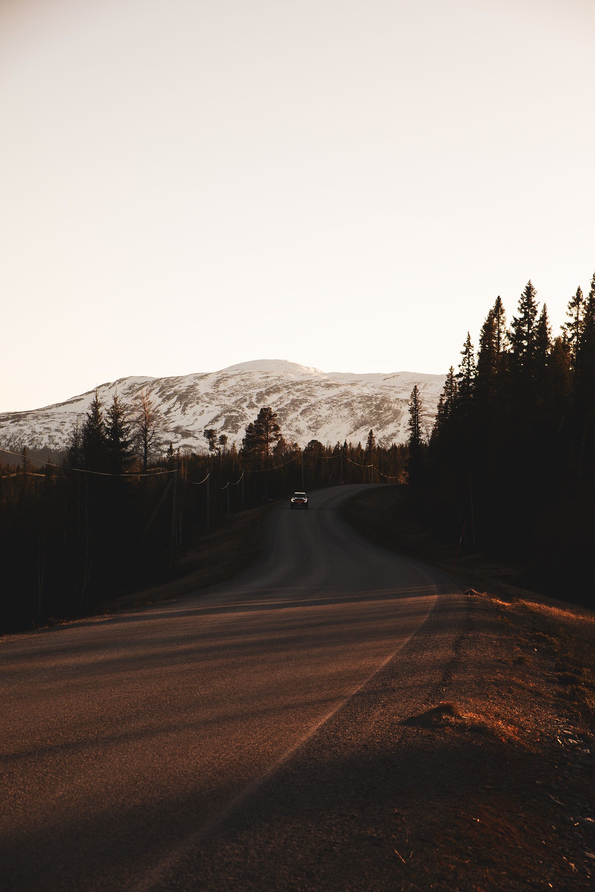 Mountain road through forest with peaks ahead