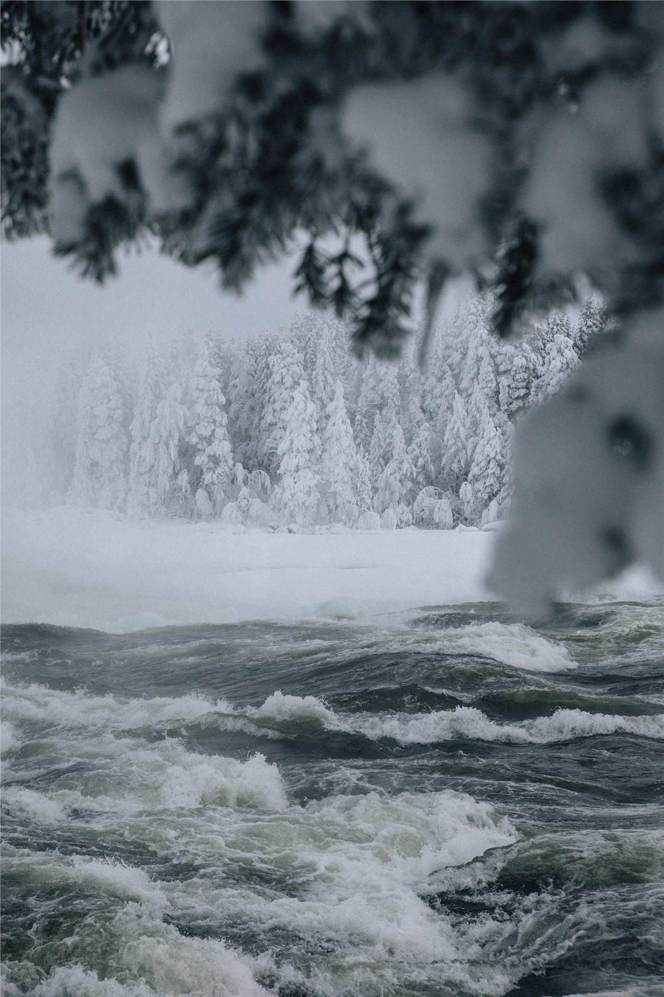 Frozen river environment
