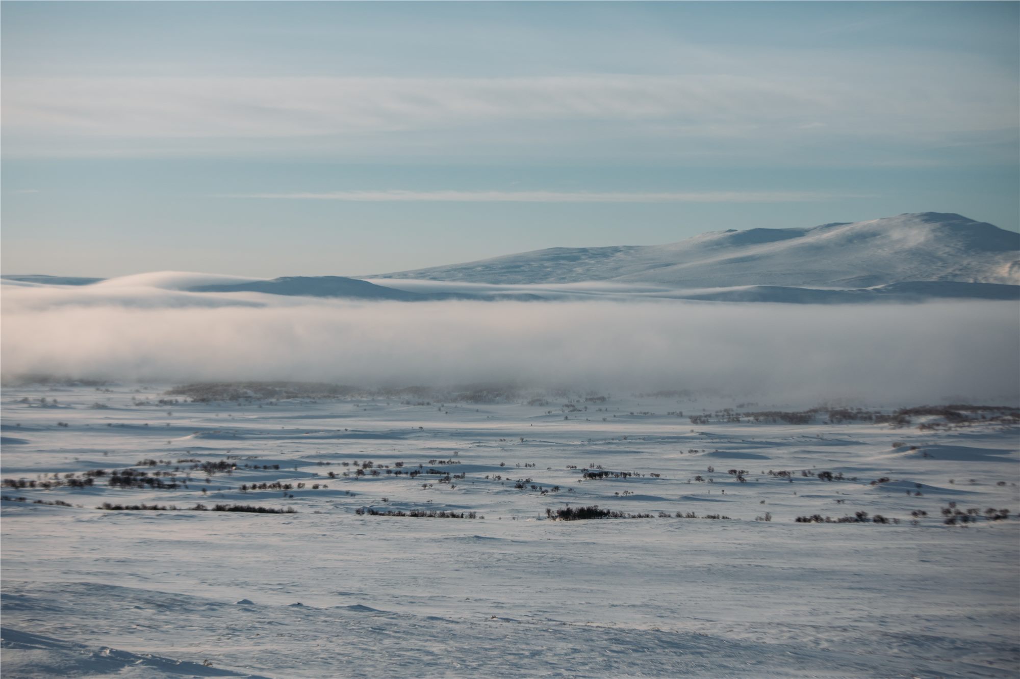 TOBE winter outdoor landscape